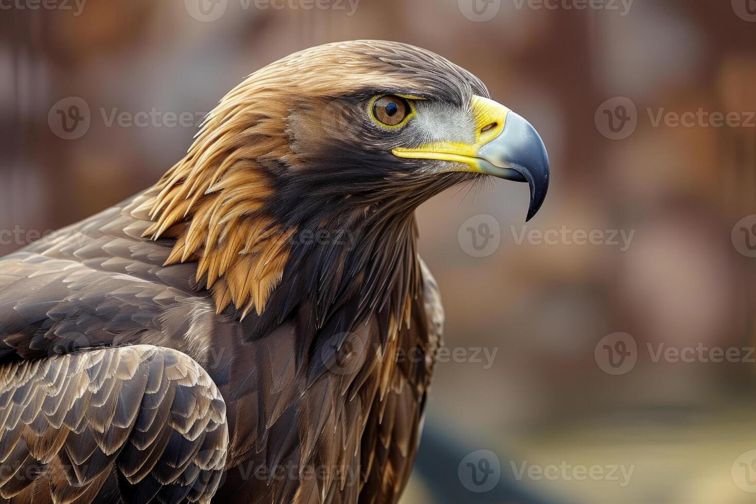 Majestic golden eagle close-up portrait photo