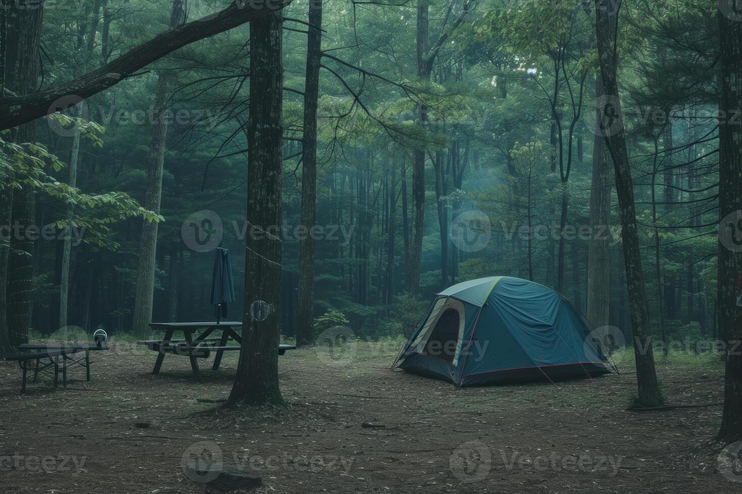 Serene campsite in misty forest photo