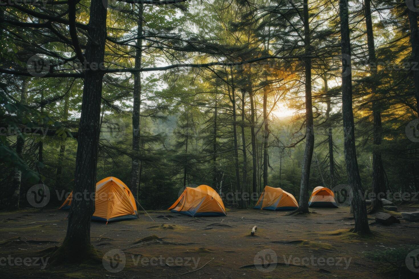 Serene forest camping scene at sunset photo
