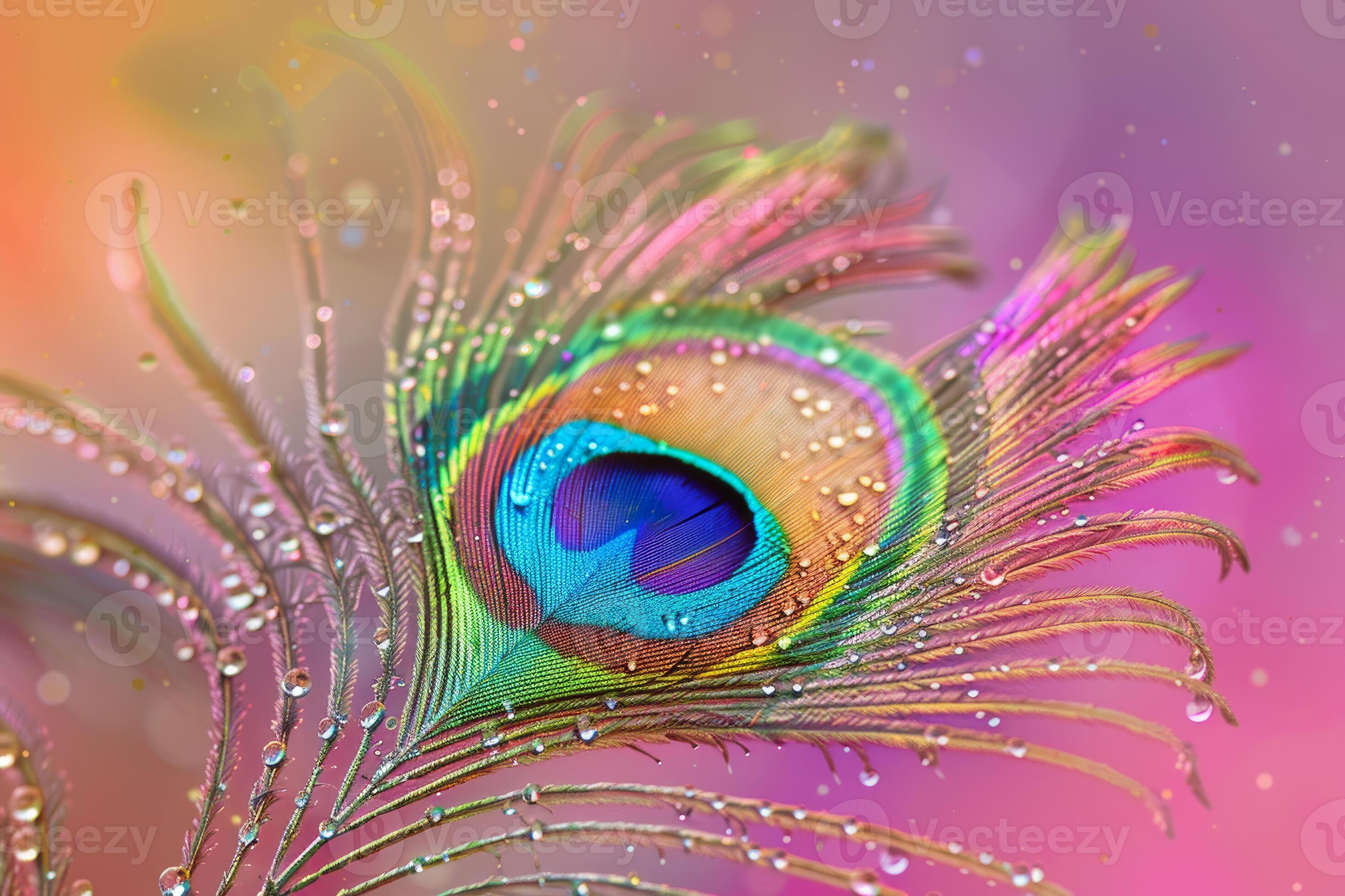 Vibrant peacock feather with water droplets 47335427 Stock