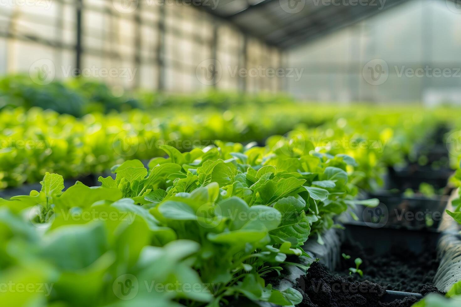 Cost-effective Agricultural technologies. Generate Ai photo