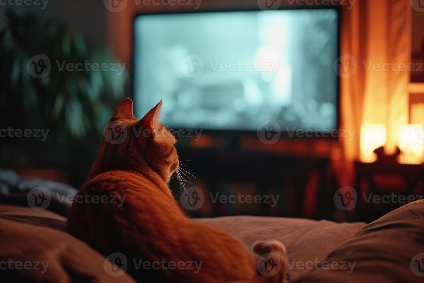 Cozy evening at home with cat watching tv photo