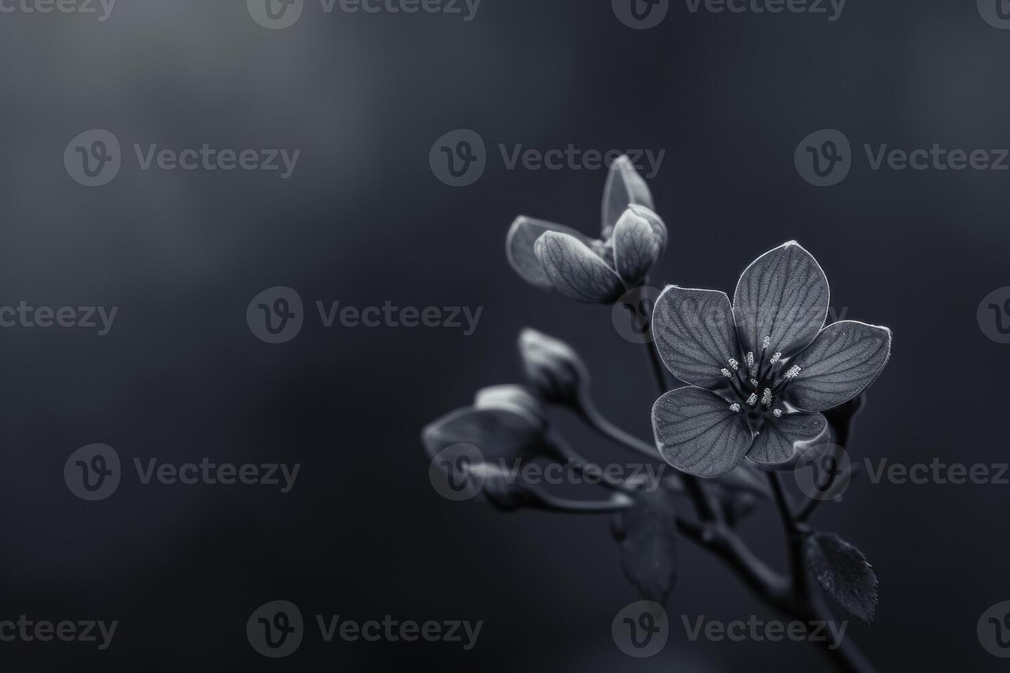 Fascinating Black flowers. Generate Ai photo