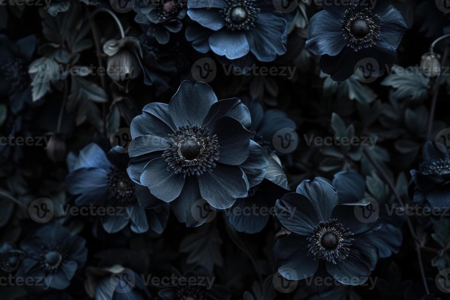Elegant Black flowers. Generate Ai photo