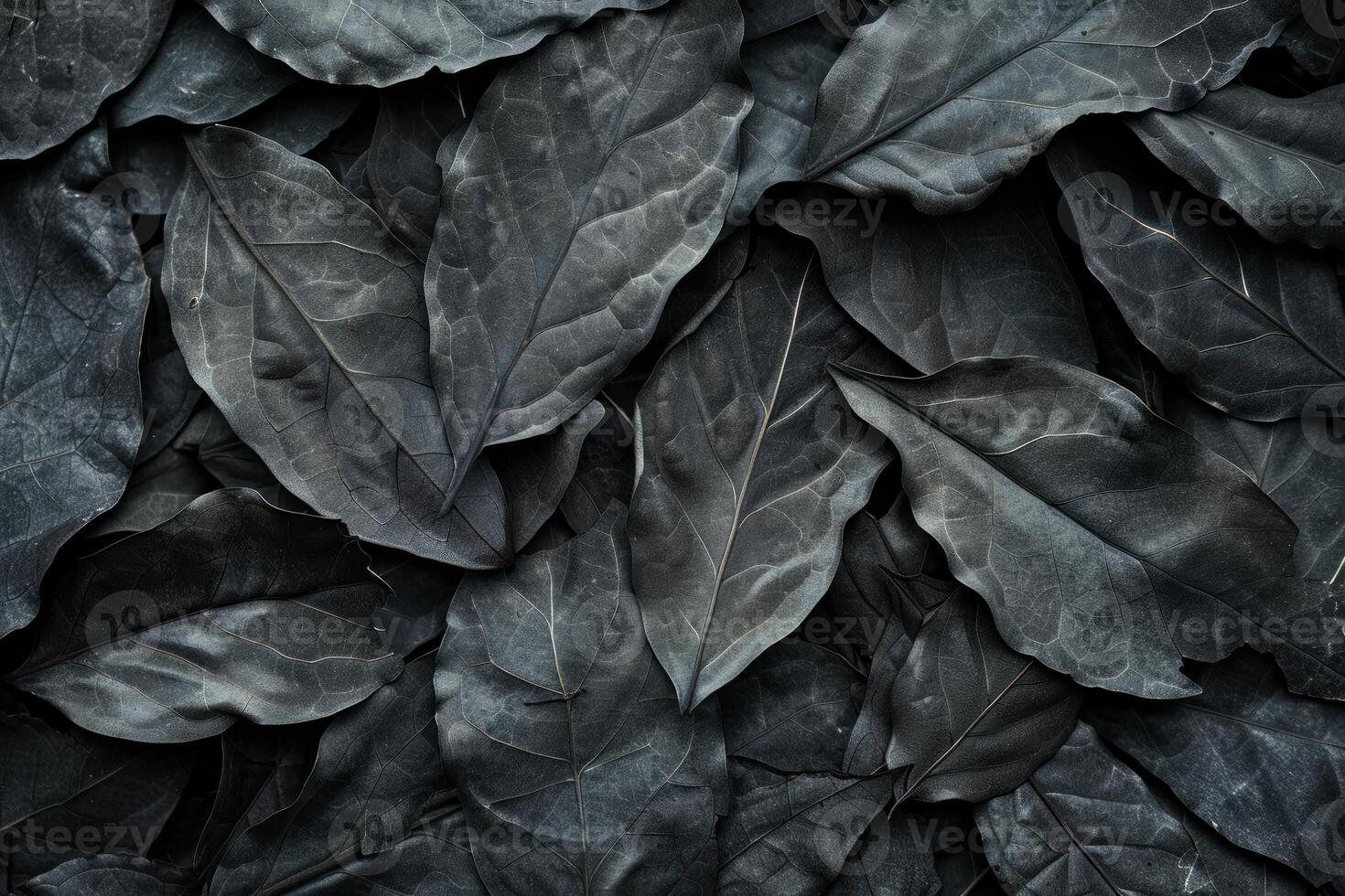 Image showcasing a detailed, dark leaf pattern for natural textures photo
