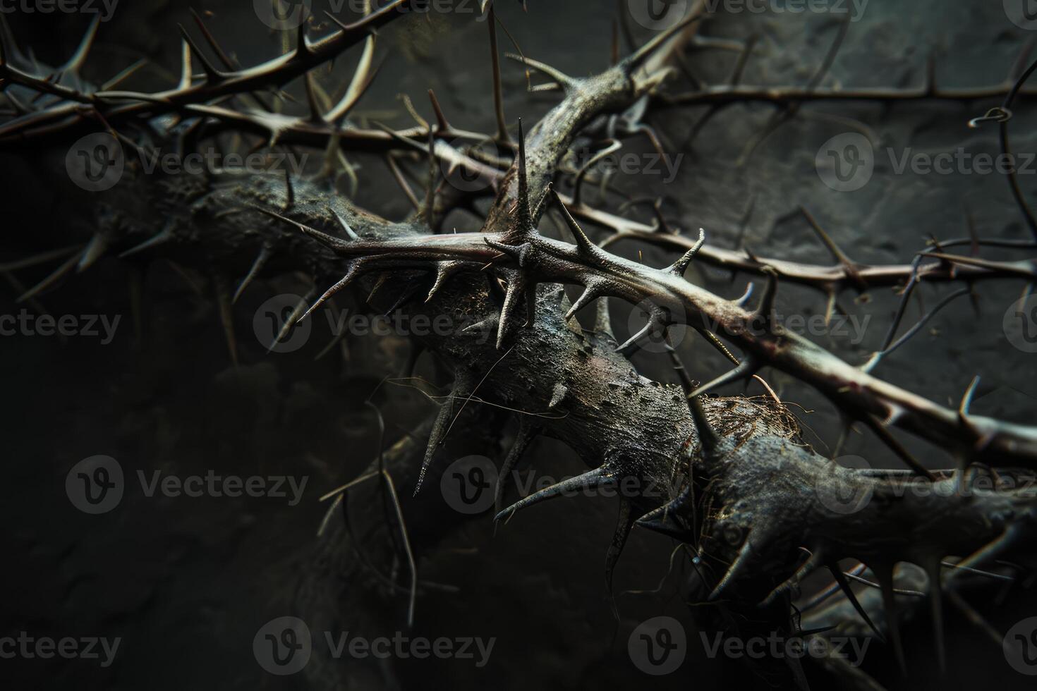 Tangled thorns in moody lighting photo