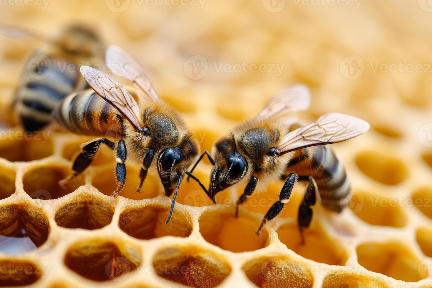 Geometric Bees honeycomb closeup. Generate Ai photo