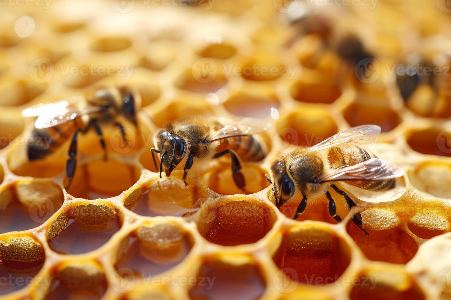 Geometric Bees honeycomb. Generate Ai photo