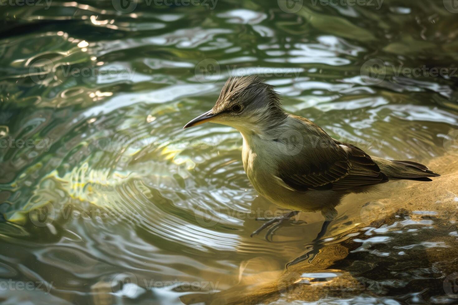 Beleaguered Bird in dirty lake water. Generate ai photo