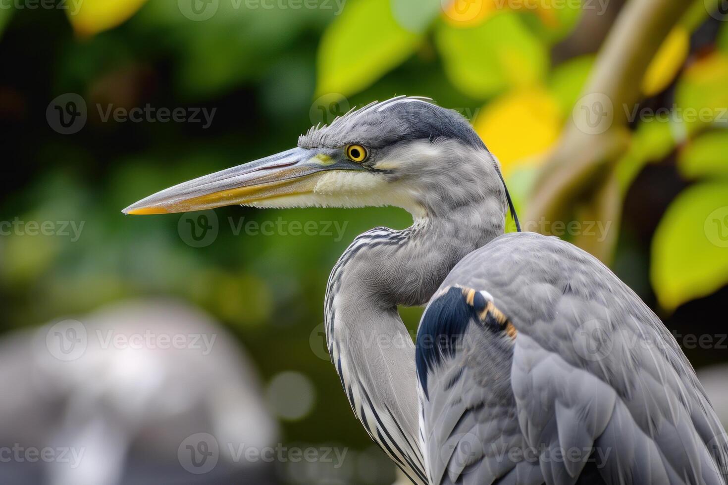 Elegant Bird heron closeup. Generate Ai photo