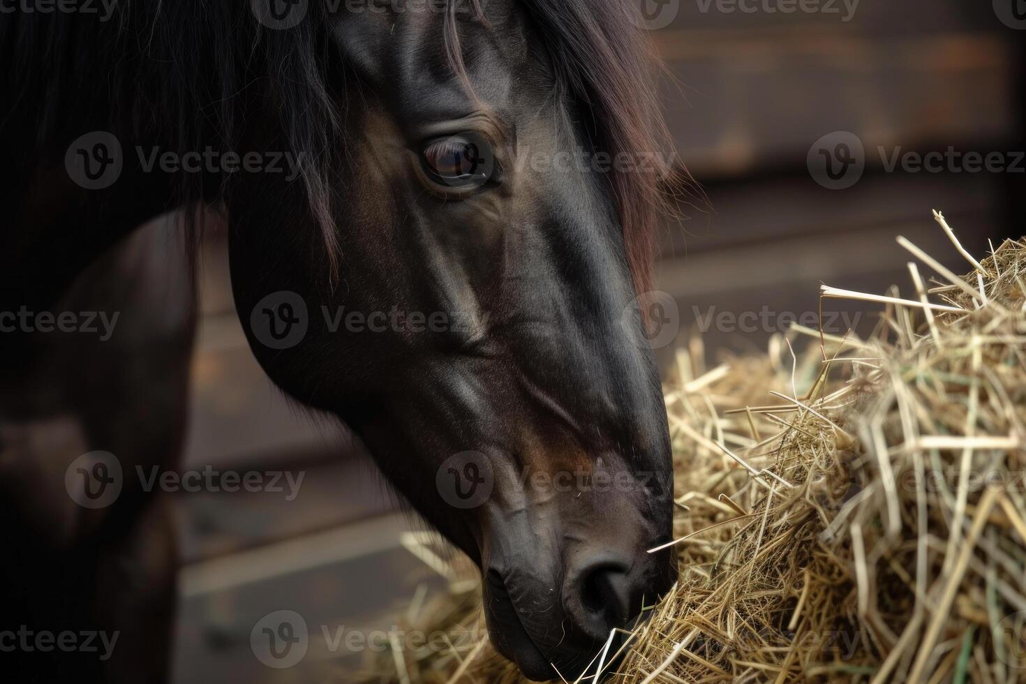 Bold Black horse banner. Generate Ai photo