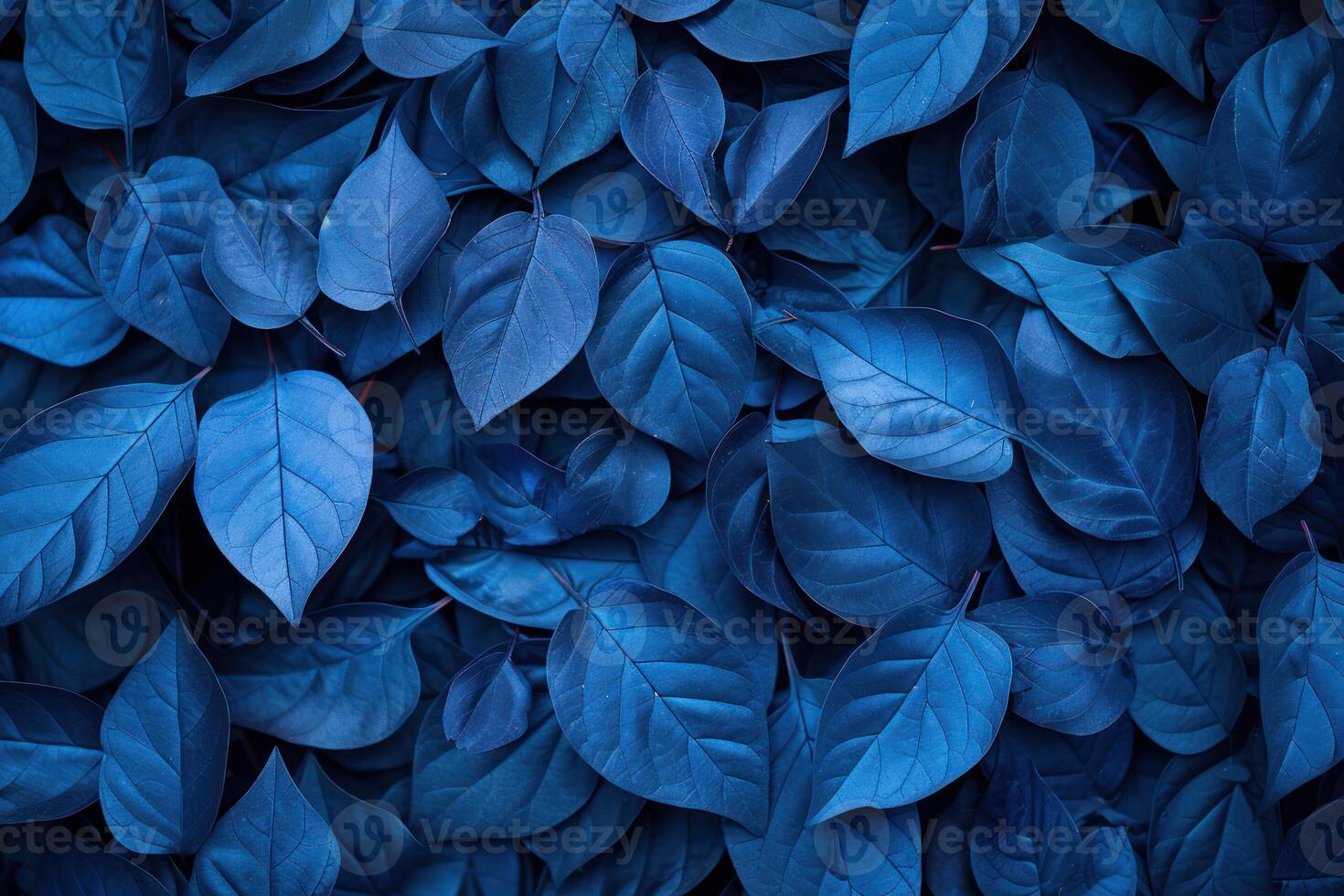 Close-up texture of leaves with a monochromatic blue color scheme photo