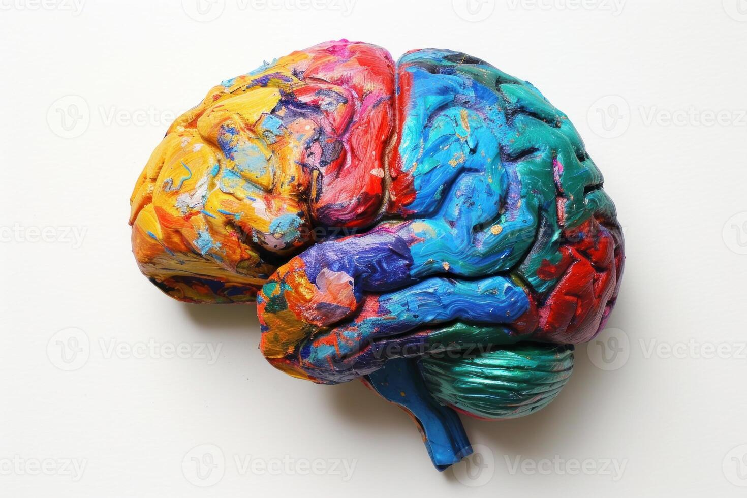 Colorful painted brain sculpture on white background photo