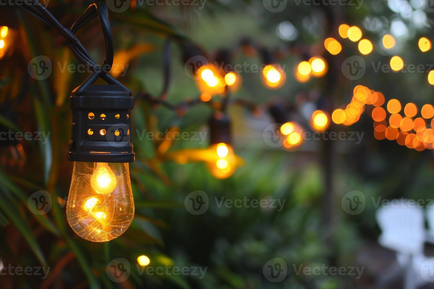 Elegant outdoor string light illumination photo