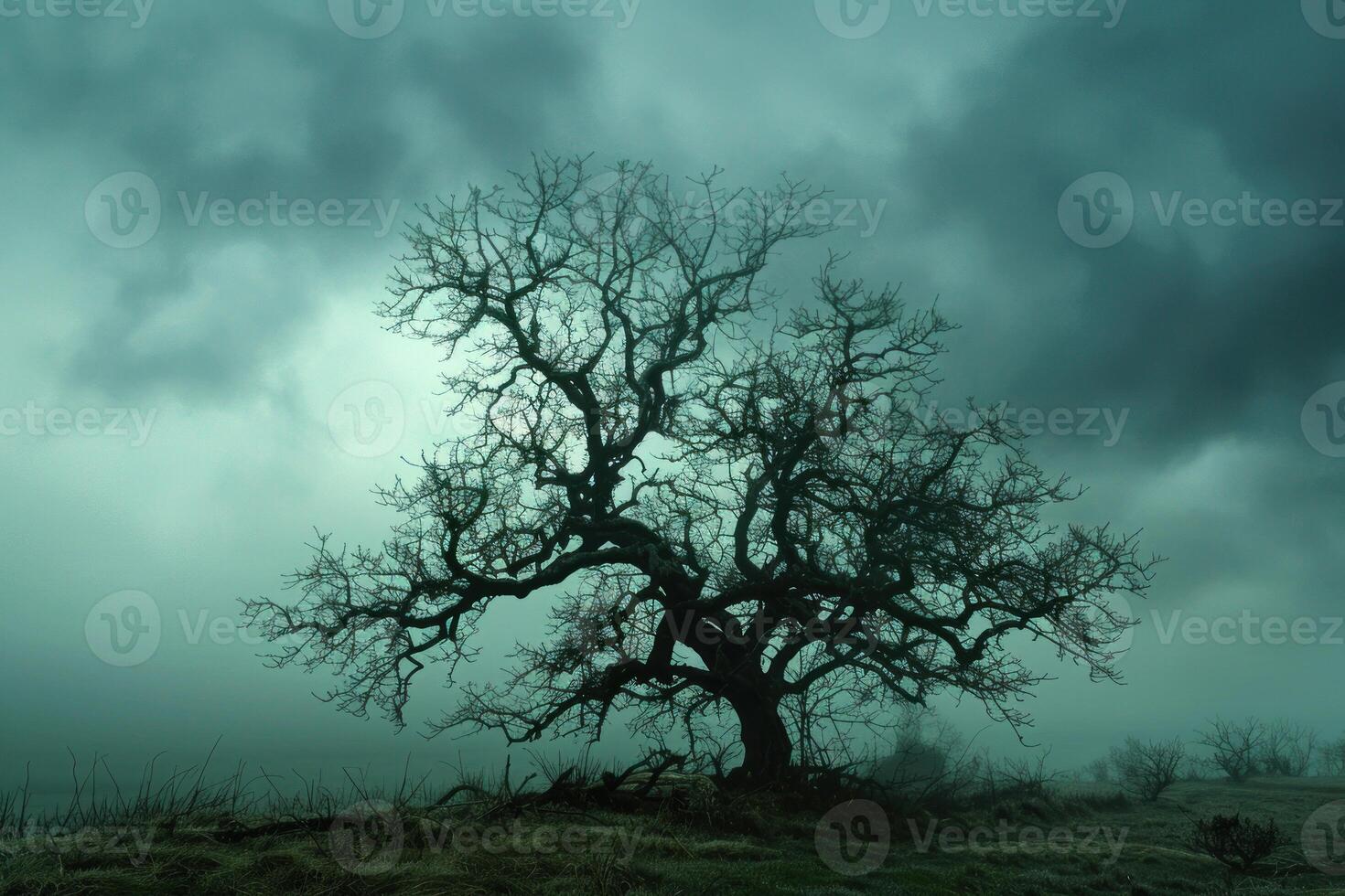 Mystical silhouette of a lone tree at twilight photo