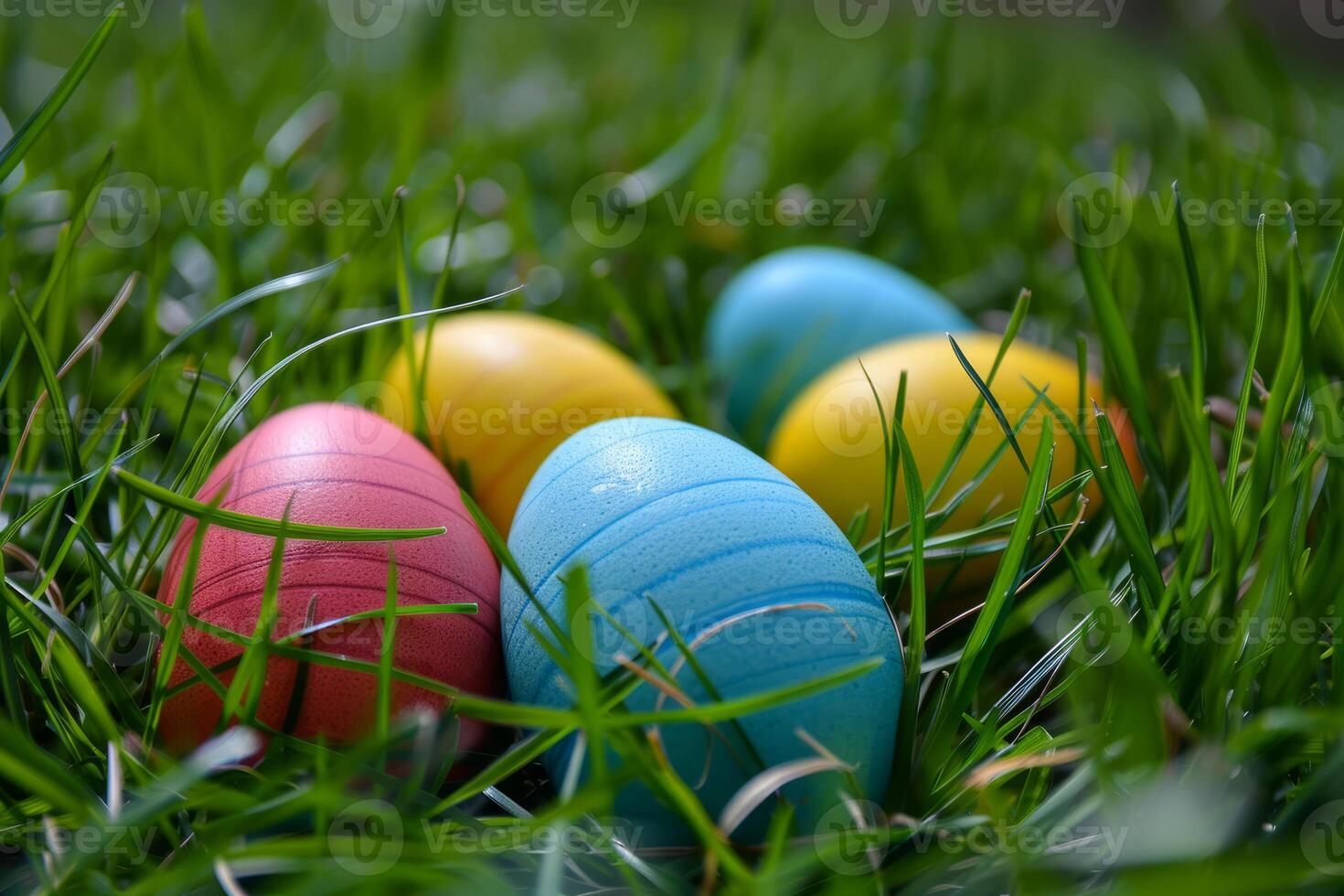 Colorful easter eggs hidden in fresh spring grass photo