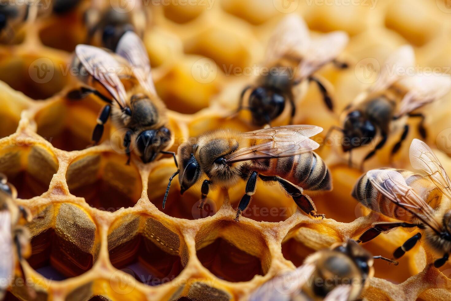 Textured Bees honeycomb closeup. Generate Ai photo