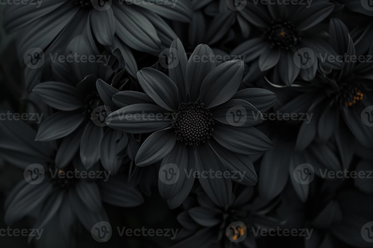 Unusual Black flowers. Generate Ai photo