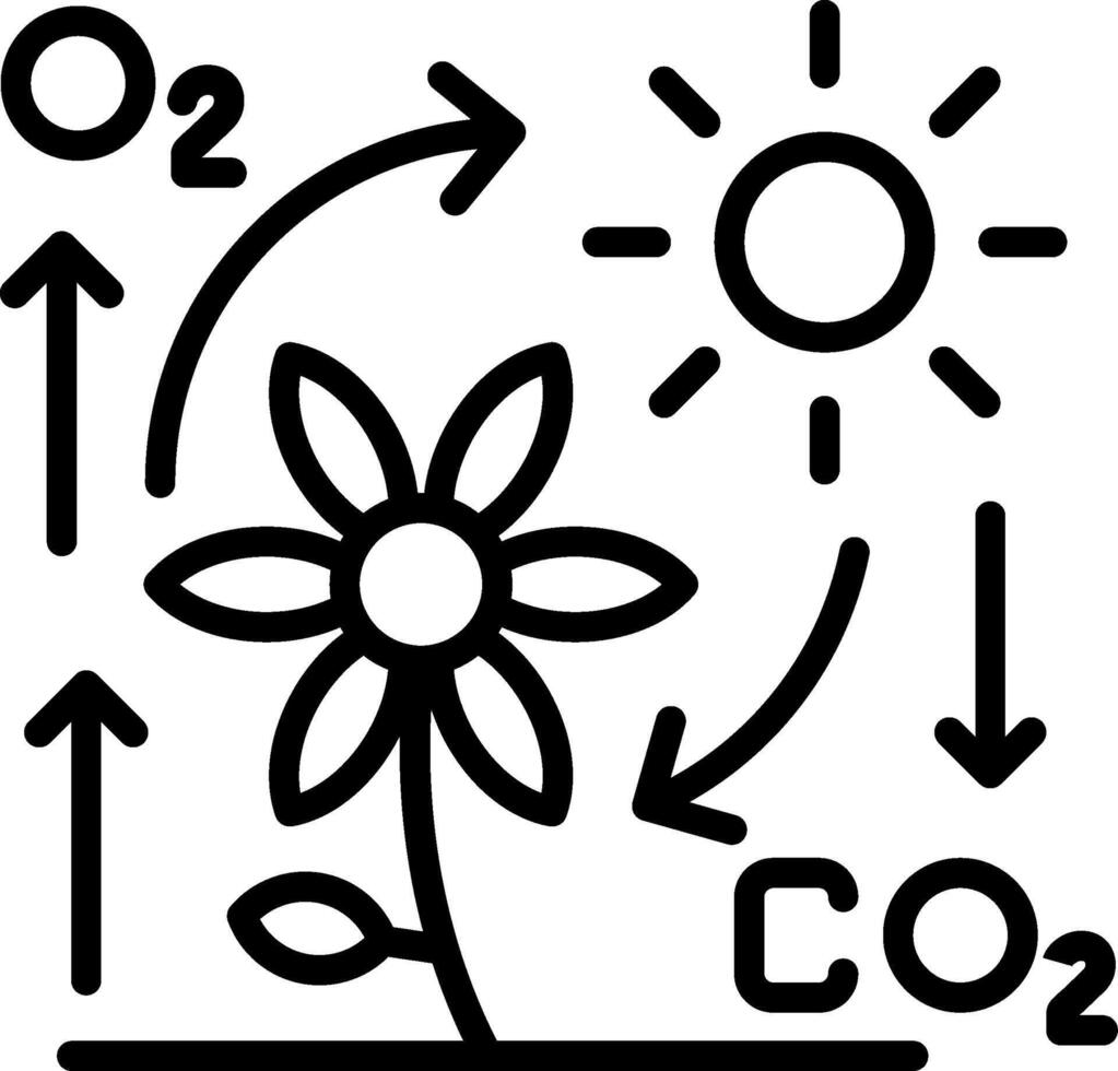 Photosynthesis Line Icon Design vector