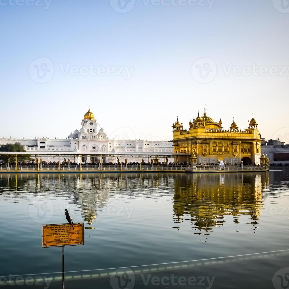 Beautiful view of Golden Temple - Harmandir Sahib in Amritsar, Punjab, India, Famous indian sikh landmark, Golden Temple, the main sanctuary of Sikhs in Amritsar, India photo