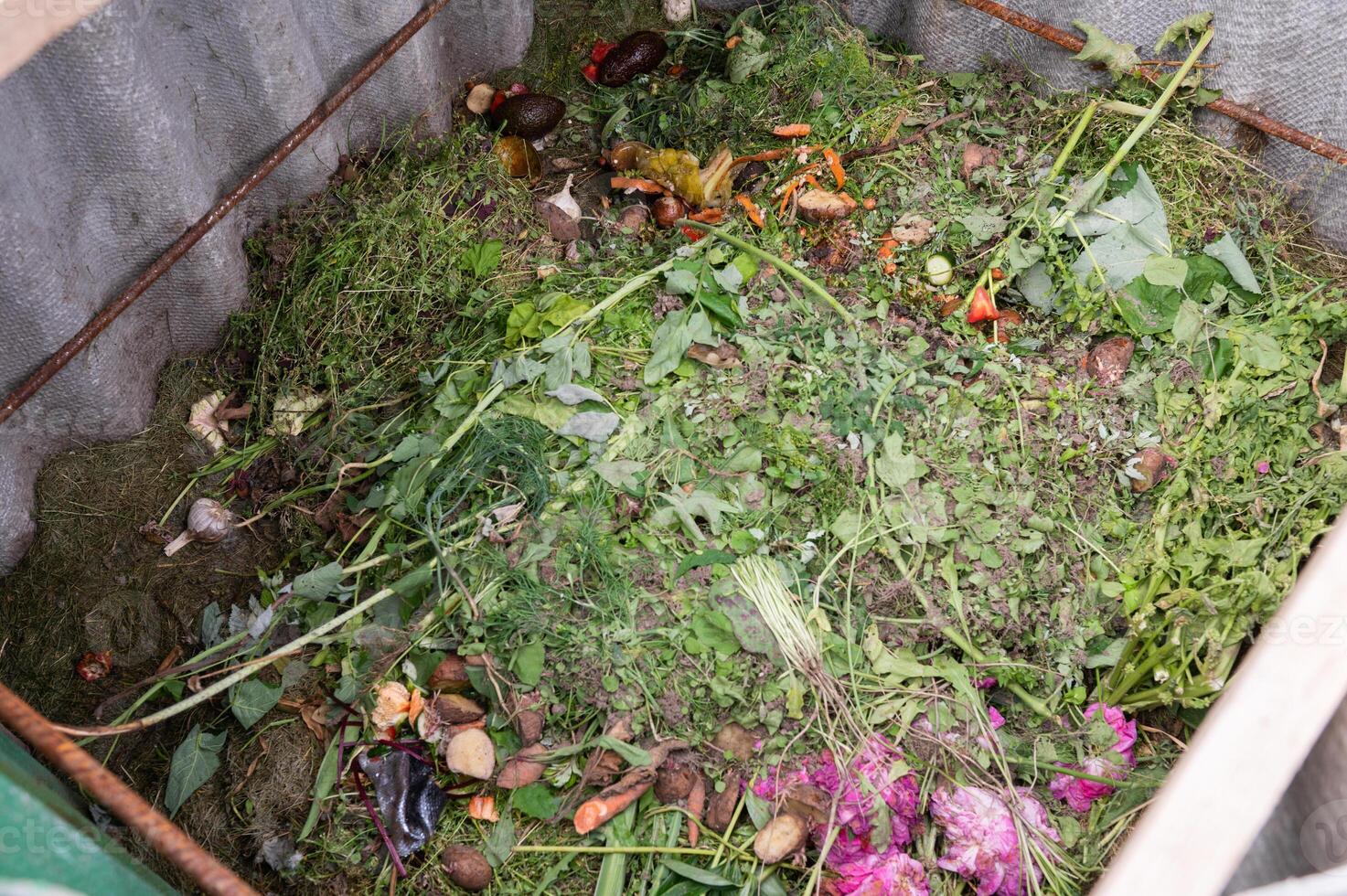 Processing of organic waste, compost preparation photo
