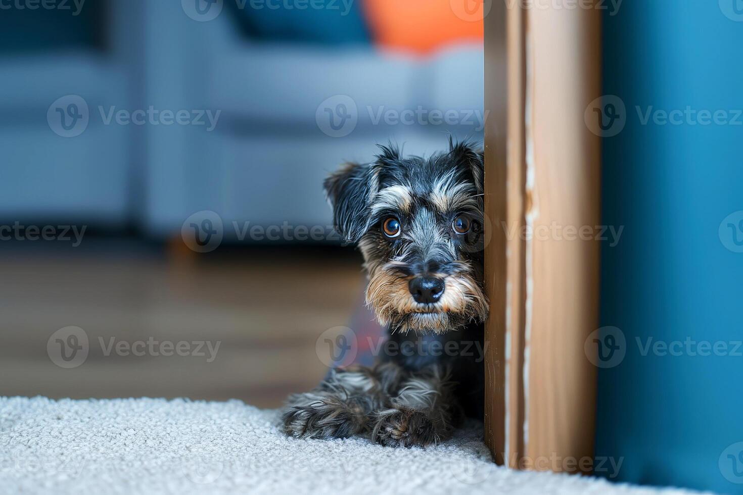 a dog is hiding behind the door. photo