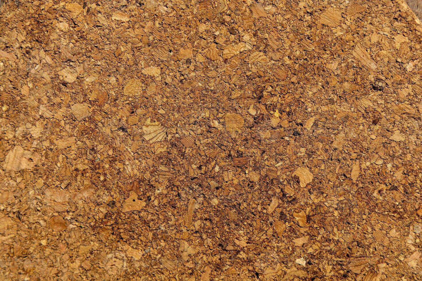 Granular material, solid wood with a structural surface for design textures. Grunge panel with rough coating photo