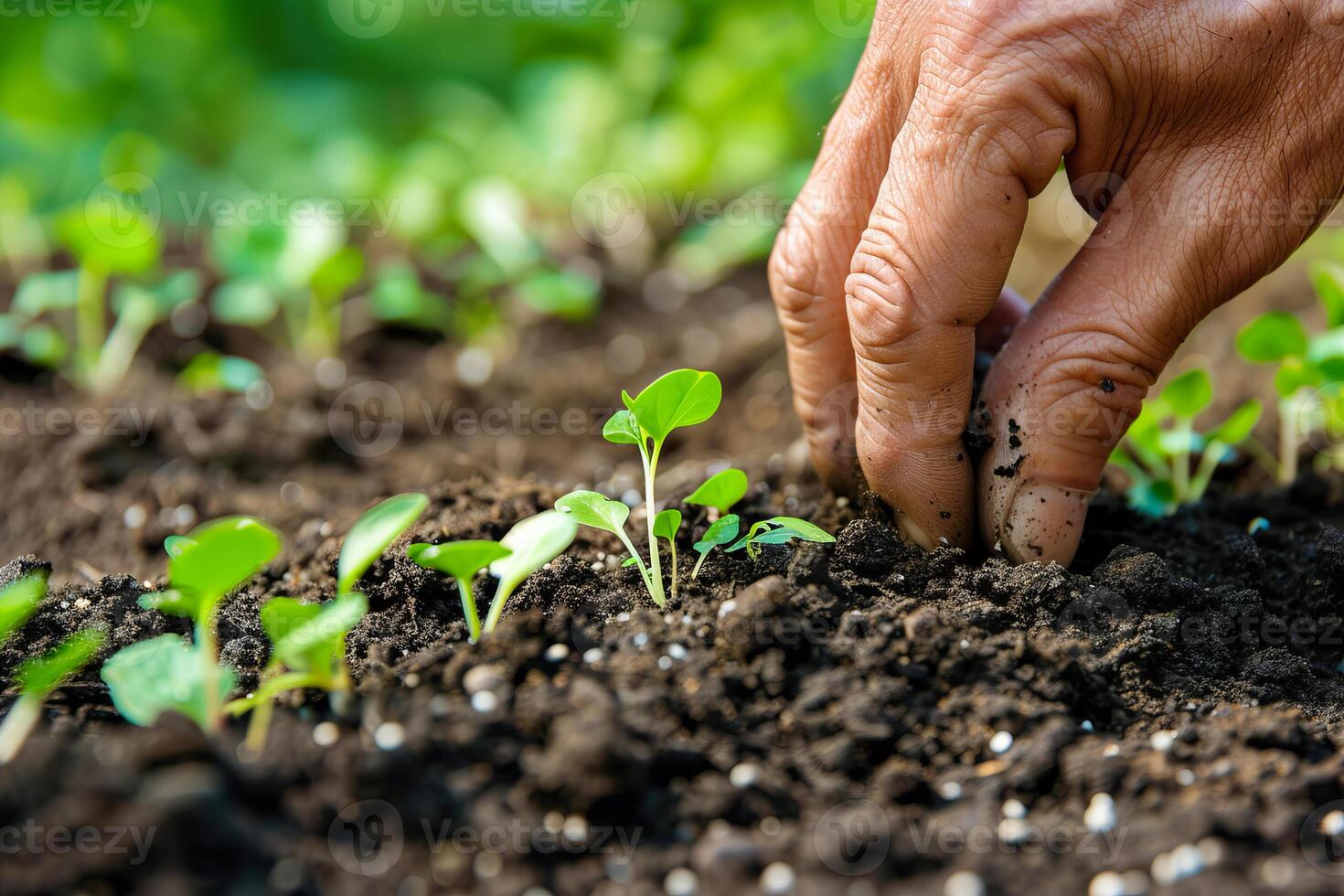 Closeup green seedling sprouting from the earth, symbolizing growth and organic agriculture, emphasizing eco friendly and healthy food practices. photo