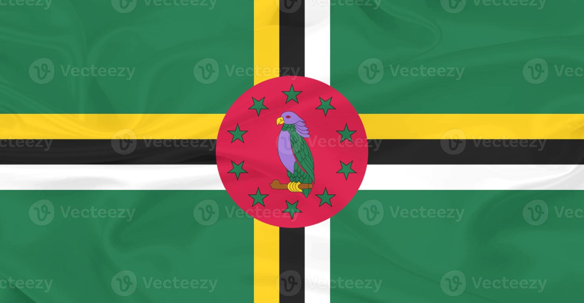 Flag of Dominica Weaving Flying in the Air photo