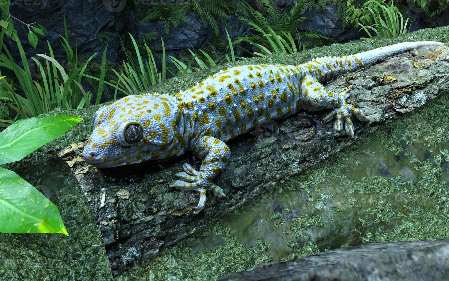 3d illustration of Tokay gecko climbing tree. A baby tokay gecko is climbing on a tree. photo