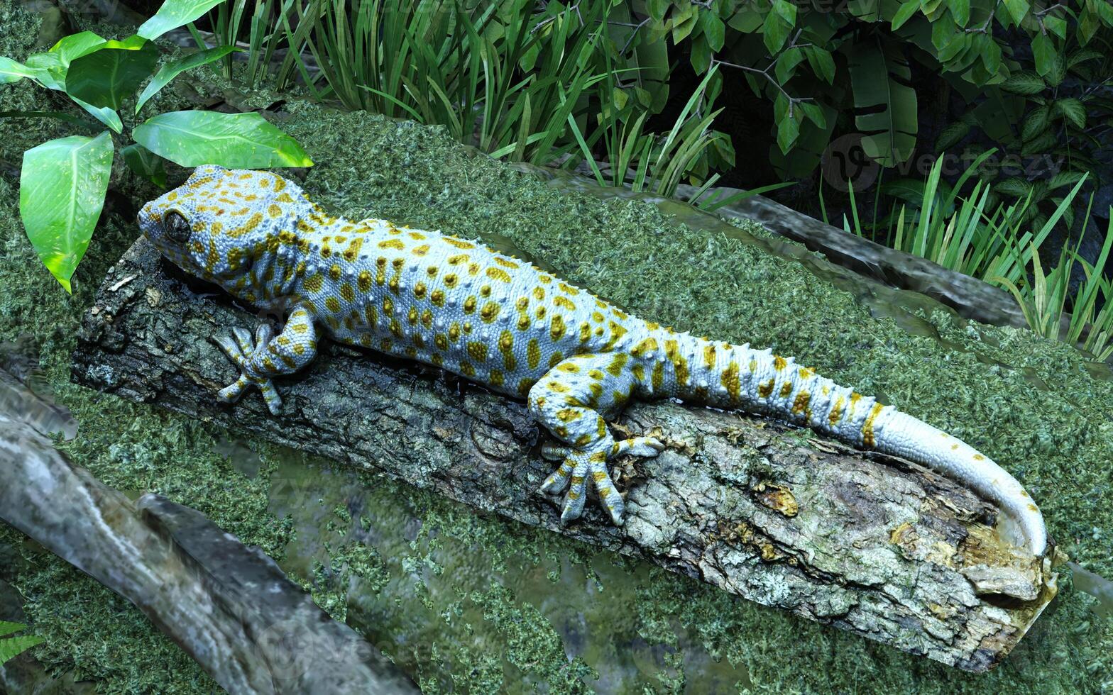 3d illustration of Tokay gecko climbing tree. A baby tokay gecko is climbing on a tree. photo