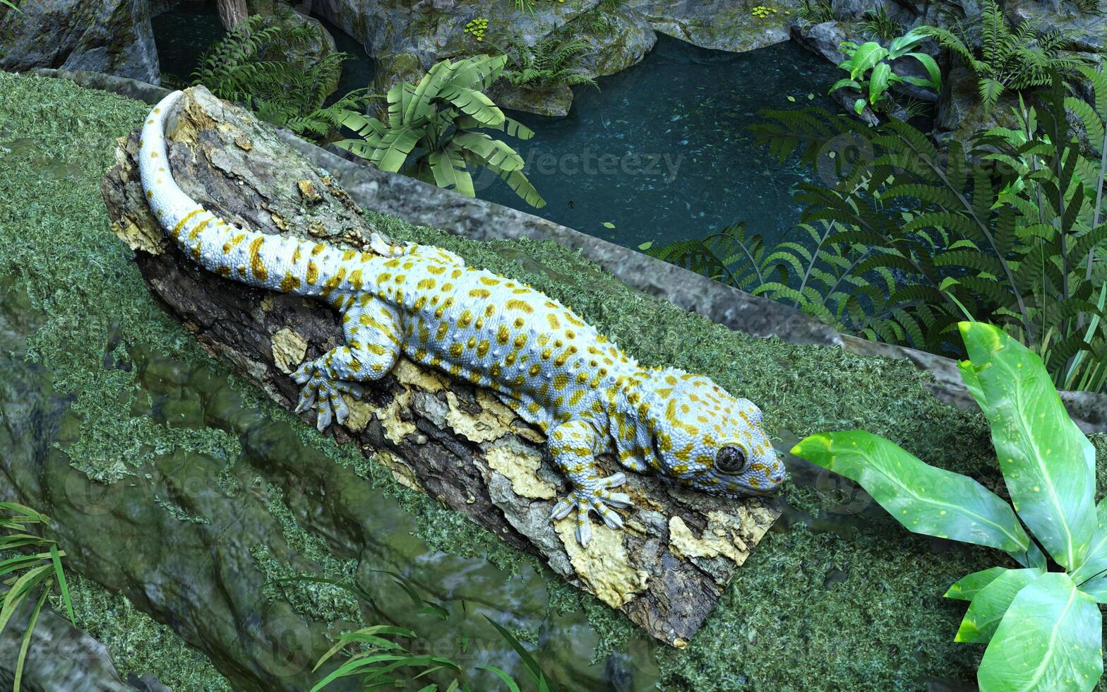 3d illustration of Tokay gecko climbing tree. A baby tokay gecko is climbing on a tree. photo