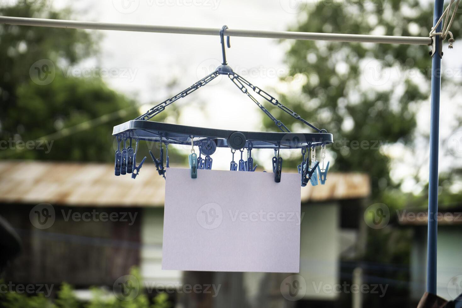 Colorful plastic clothes pegs photo