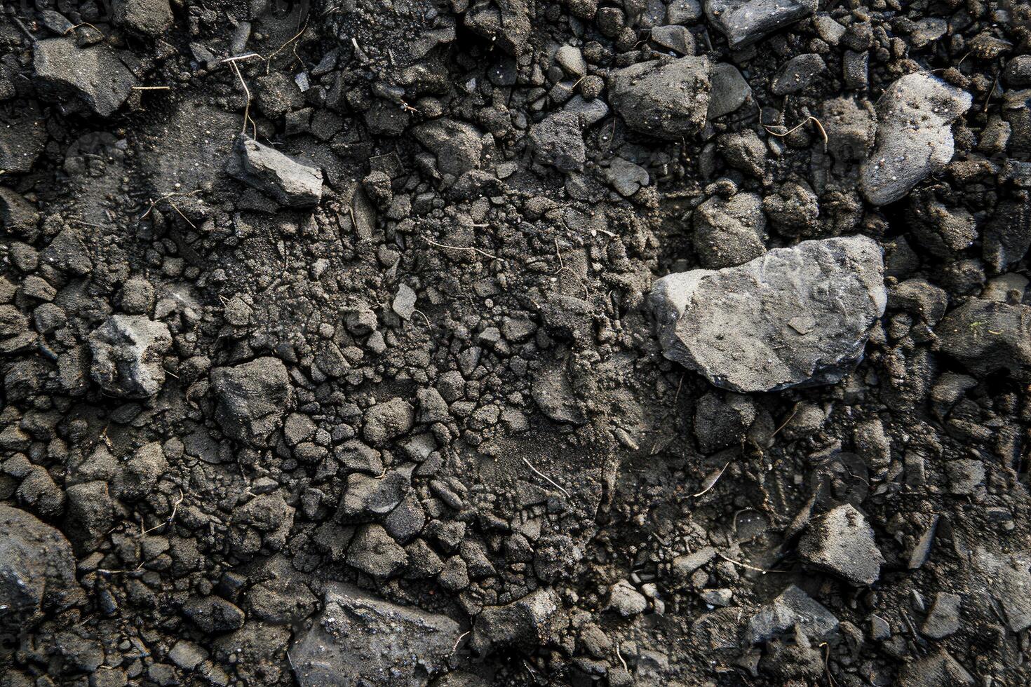 Detailed examination of nutrientrich topsoil composition and texture photo