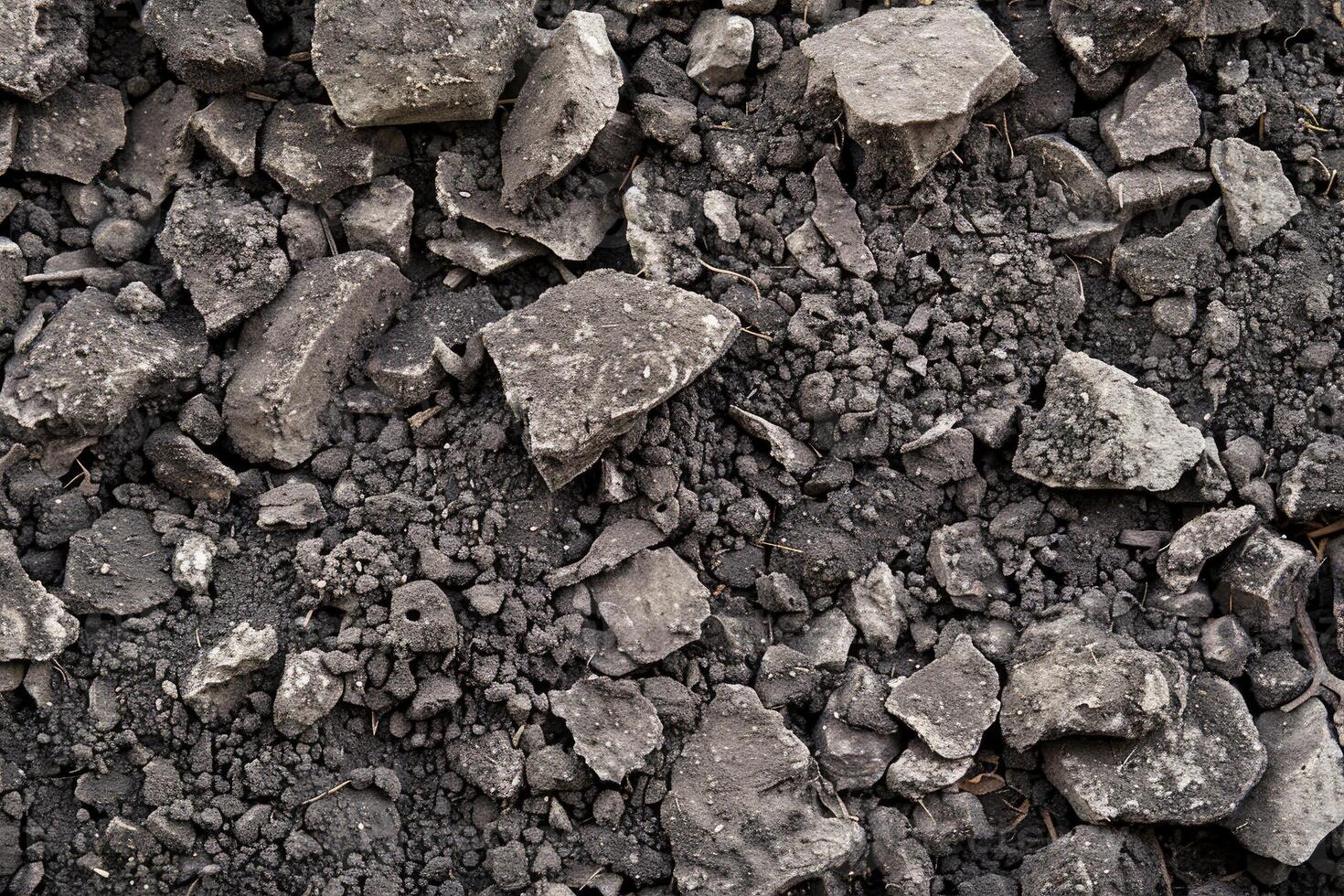 Grey Topsoil A Versatile Foundation for Diverse Plant Life photo