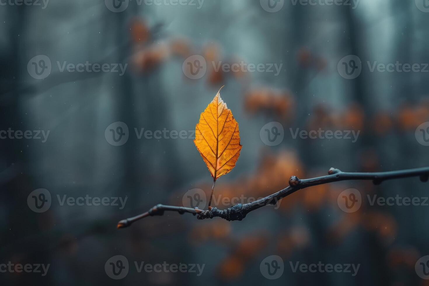 The Graceful Solitude of a Single Forest Leaf photo