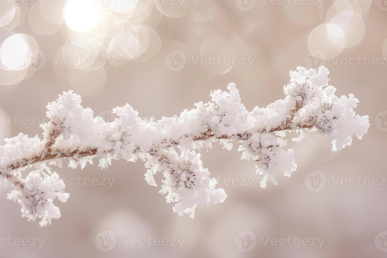 Whispers of Winter Delicate Snowflakes on Fragile Branches photo