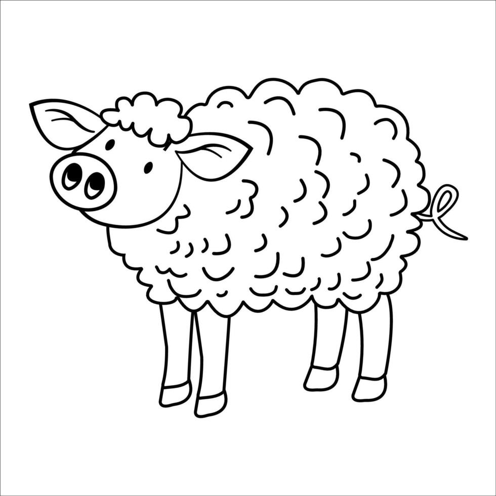 cartoon simple Line sketch mangalitsa outline in black and white, Coloring Book Material. vector