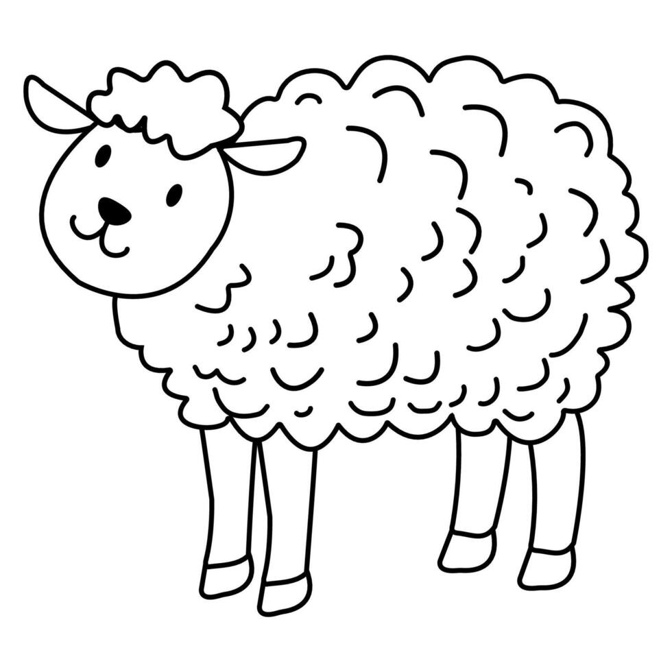 cartoon simple Line sketch Sheep outline in black and white, Coloring Book Material. vector