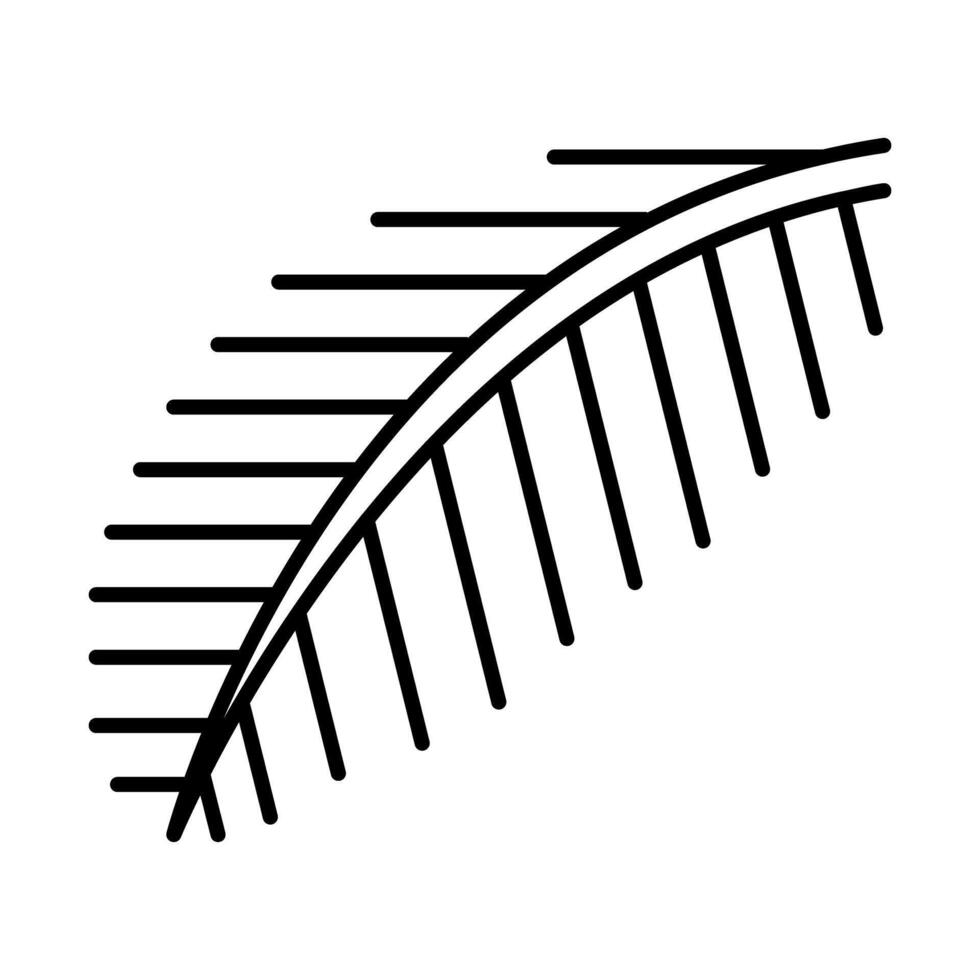 Palm Leaf, Coconut leaf icon vector