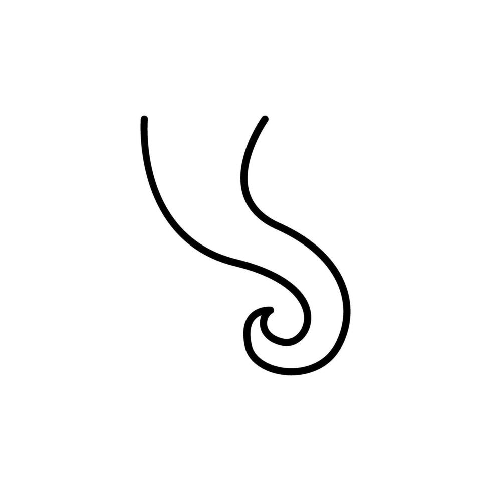 Octopus icon in thin line style graphic design illustration vector