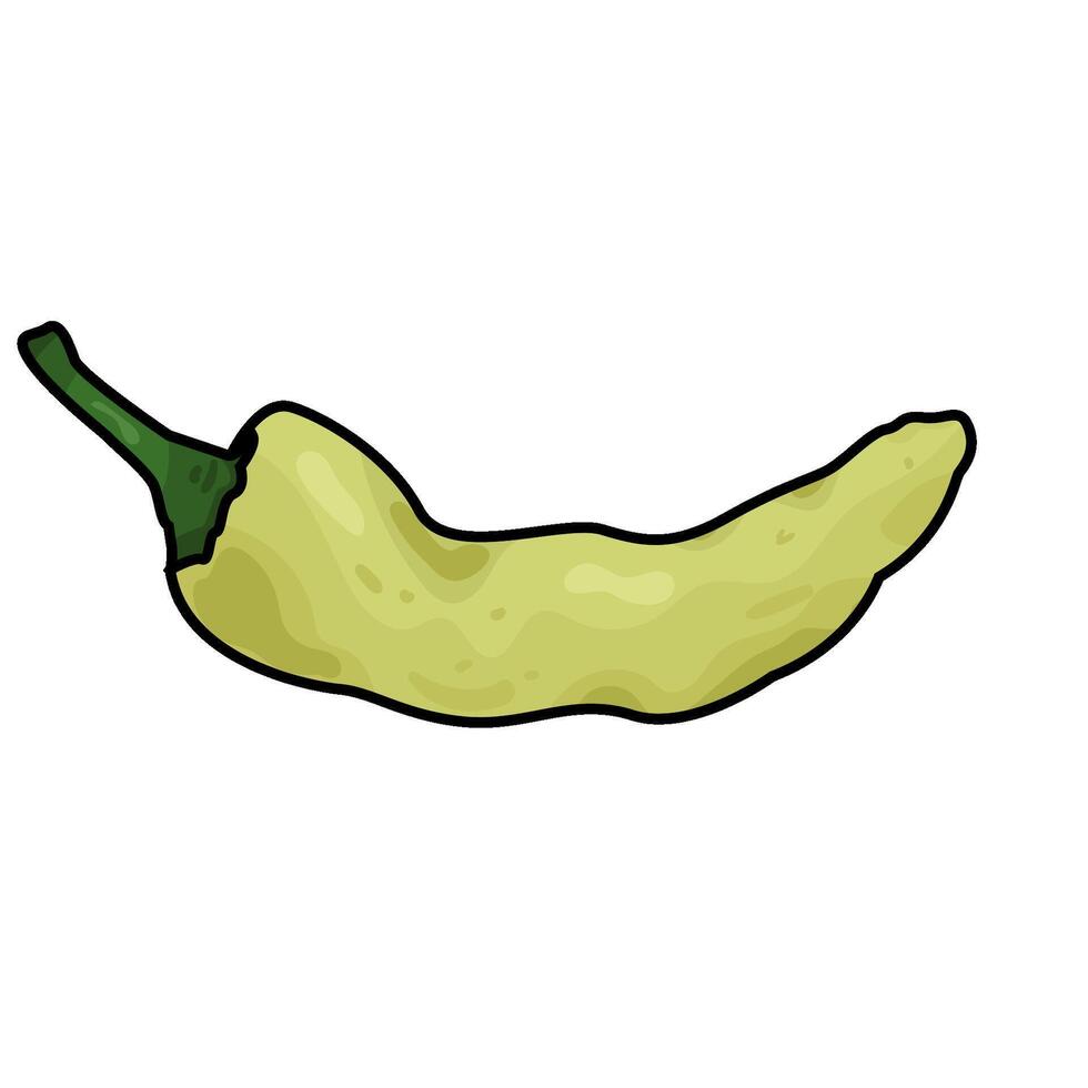 Illustration of green chili pepper vector