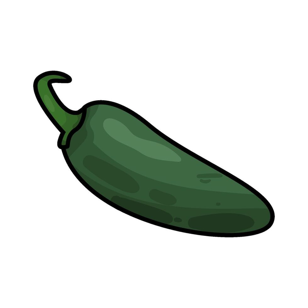 Illustration of green chili pepper vector