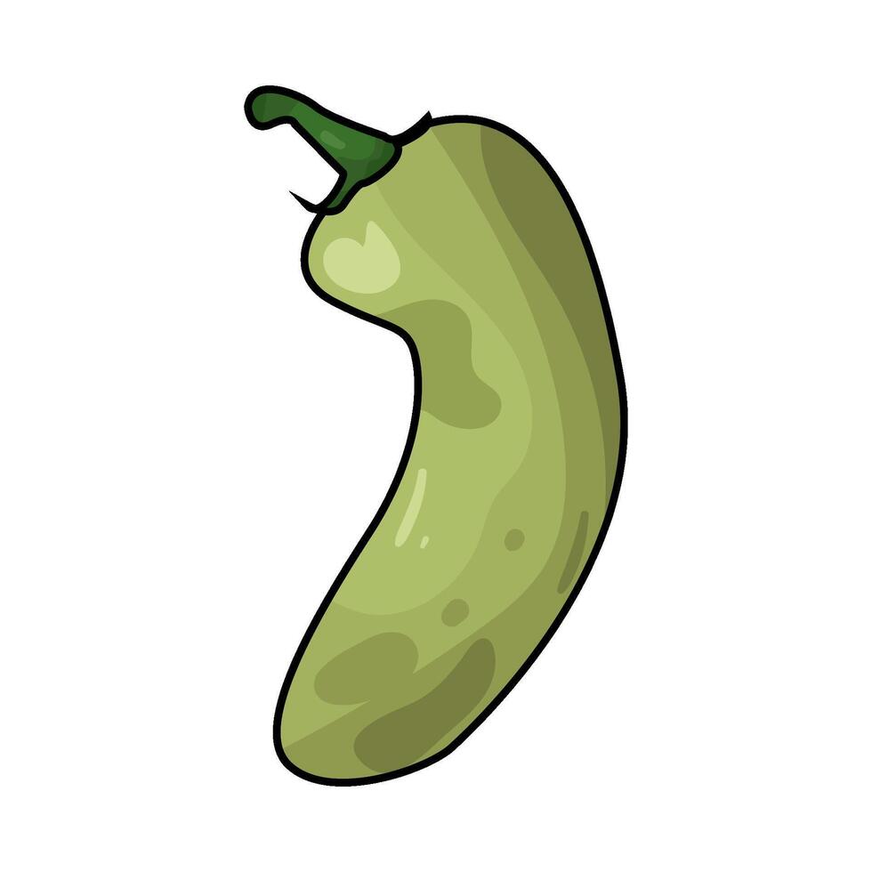 Illustration of green chili pepper vector
