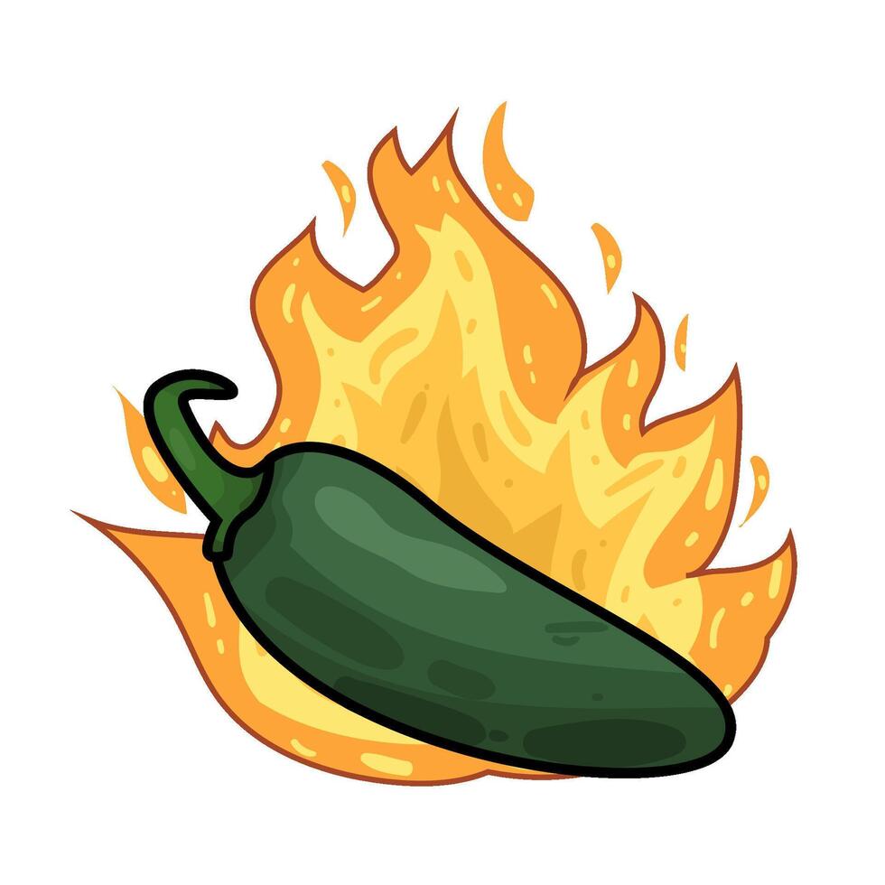 Illustration of green chili pepper vector