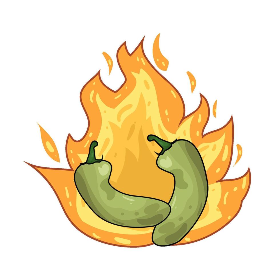 Illustration of green chili pepper vector