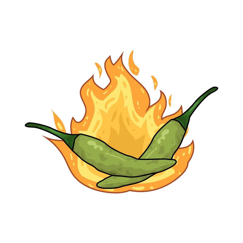 Illustration of green chili pepper vector