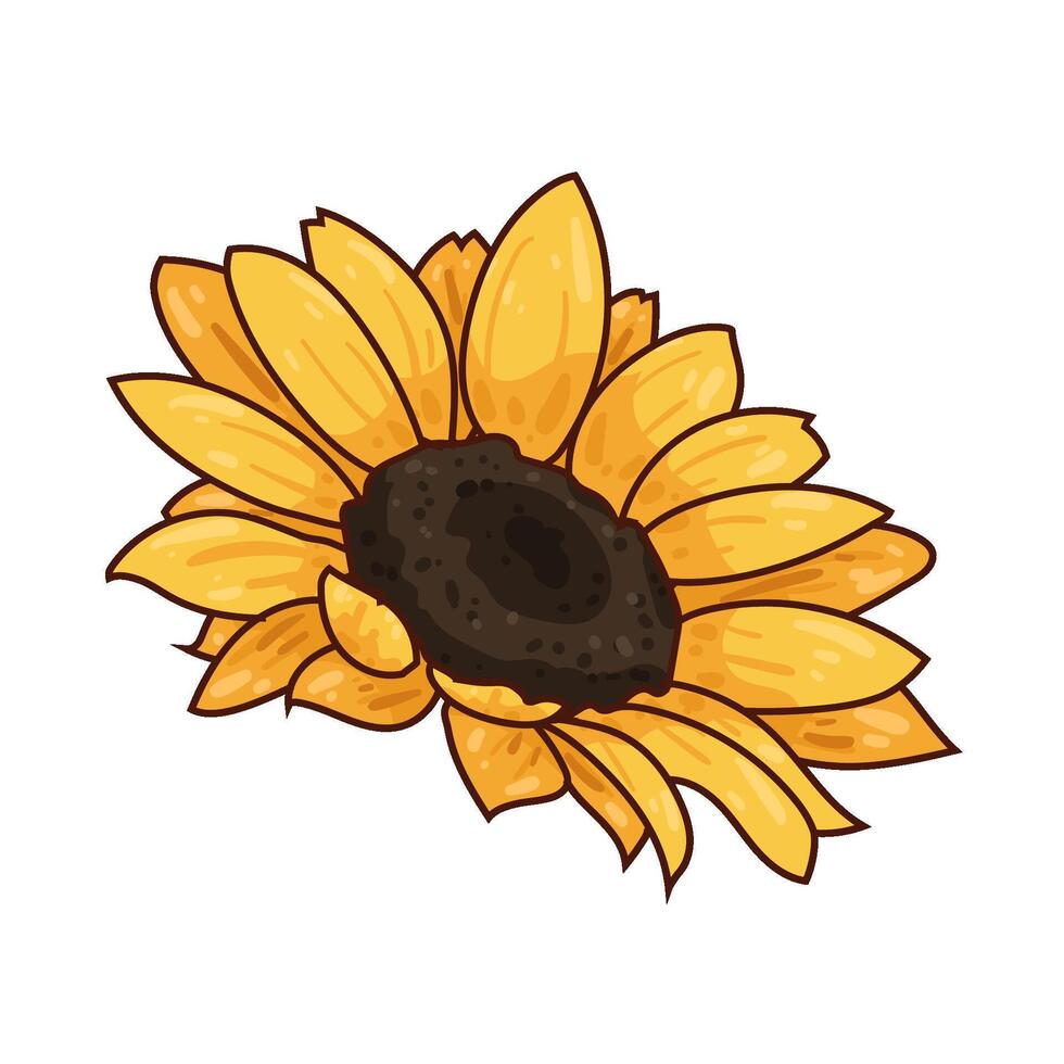 Illustration of sunflower vector