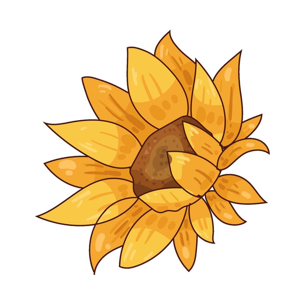 Illustration of sunflower vector