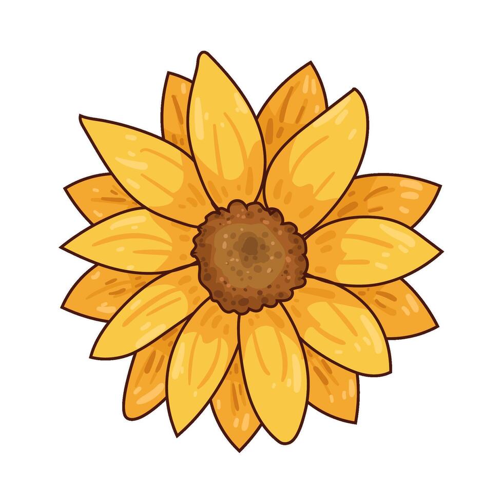 Illustration of sunflower vector